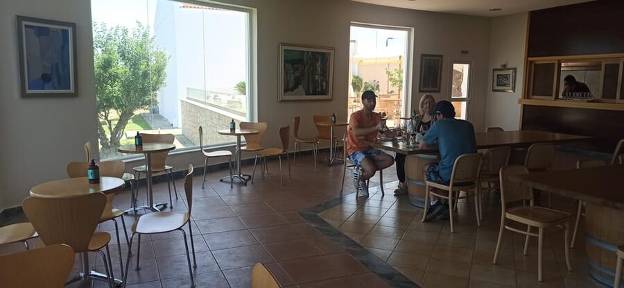 Kos: Wineries Tour w/ Wine Tastings & Transportation - Transportation and Timing: Comfortable, Organized, Mostly Smooth