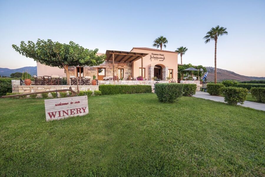 Kos: Wineries Tour w/ Wine Tastings & Transportation - Price and Value at $64: When This Deal Feels Fair