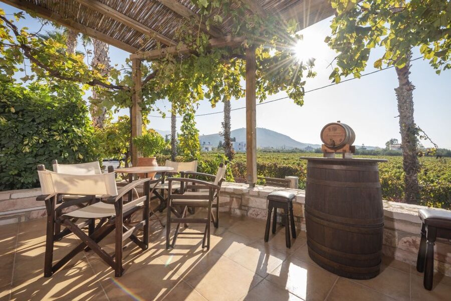 Kos: Wineries Tour w/ Wine Tastings & Transportation - Ktima Akrani in Marmari: More Time, More Wine, and Pairing Bites With Views