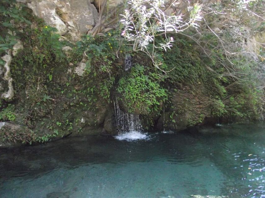 Kourtaliotiko Gorge River Trek with Lunch! Pick-up Avaliable - Who should book this trek, and who should choose something else