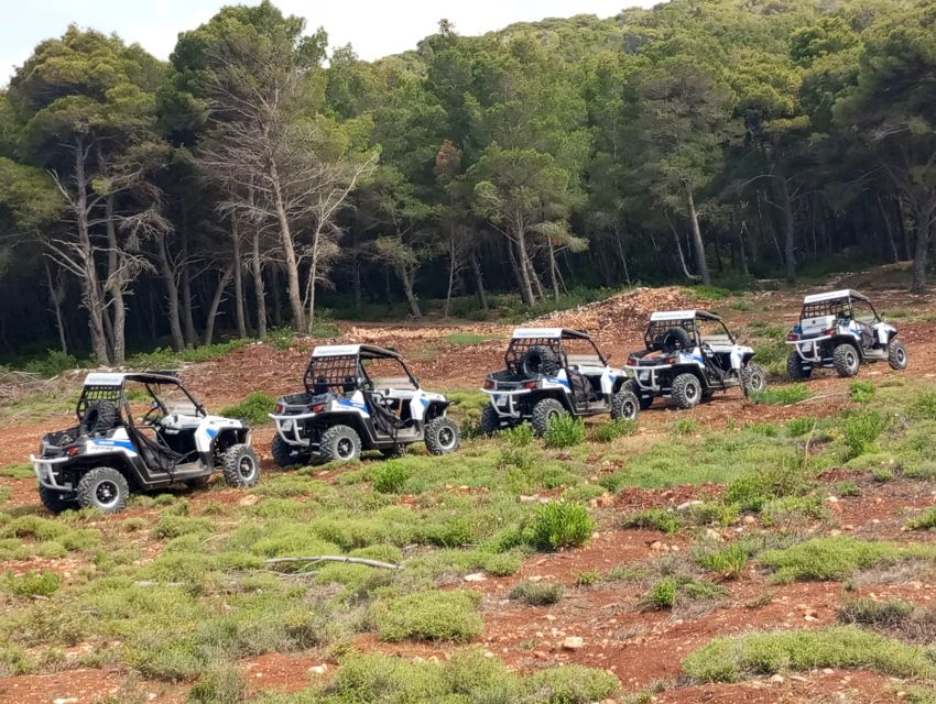 Laganas: Off-Road Buggy Adventure in Zakynthos with Lunch - Loucha lunch in an old farmhouse: where the day turns tasty