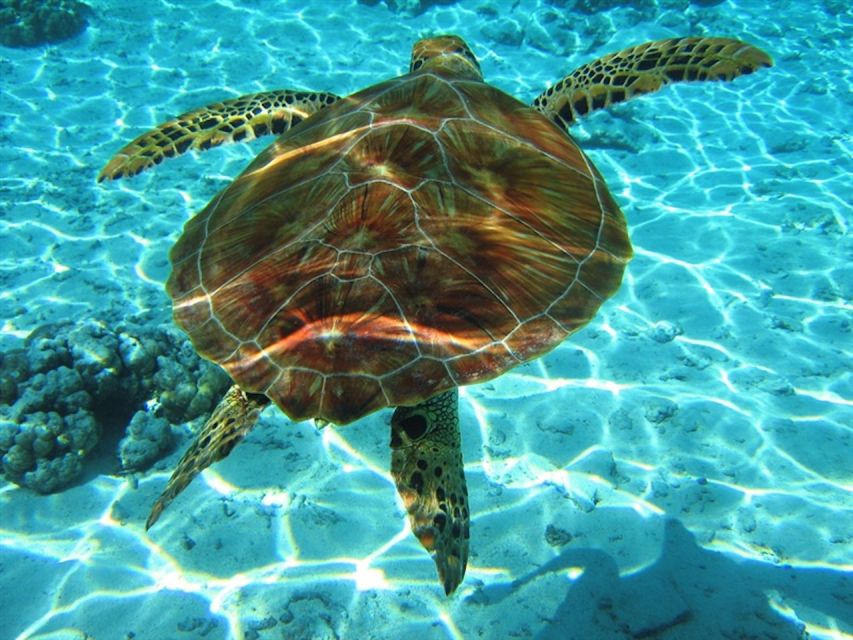 Laganas Zakynthos: Marathonissi, Keri Caves and Turtles Spot - Laganas Marine Park in 3 Hours: What You’re Really Buying
