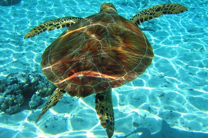 Laganas Zakynthos: Marathonissi, Keri Caves and Turtles Spotting - Key Highlights You’ll Care About