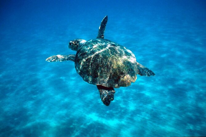 Laganas Zakynthos: Marathonissi, Keri Caves and Turtles Spotting - What the Crew and Tour Experience Feels Like