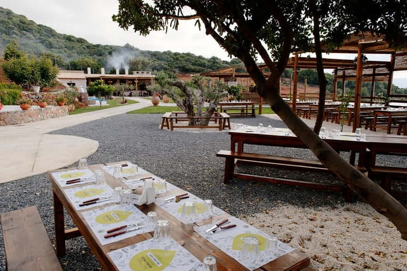 Lassithi, Zeus Cave, Olive Mill Farm & Knossos Combo Tour - Olive Mill Farm (Lyrakis Family S.A.): where Cretan flavors meet views