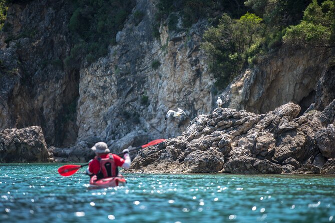 Lefkada Kayak : Explore Blue Cave with a Taste of Greece - Snorkeling with included gear, even if it is your first try