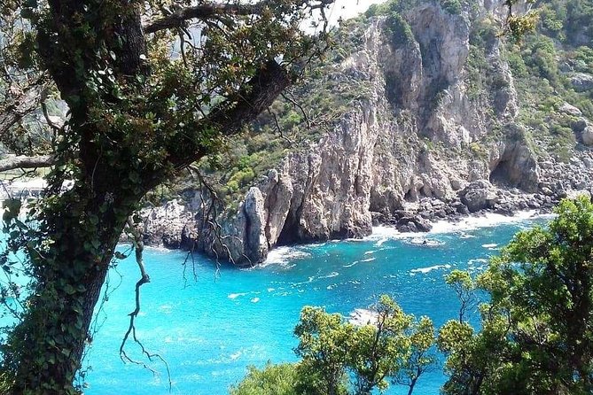 Leisurely Tour of Corfu - Why This Half-Day Corfu Tour Fits Cruise Timelines