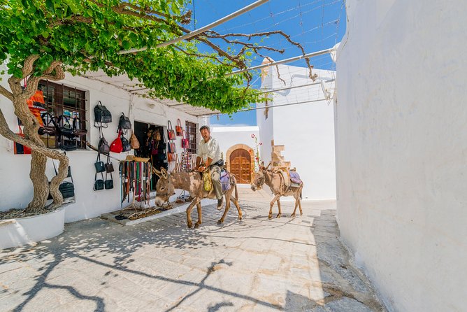 Lindos by Express MiniBus (Small Group) - Lindos Village on foot: alleyways, viewpoints, and lunch freedom