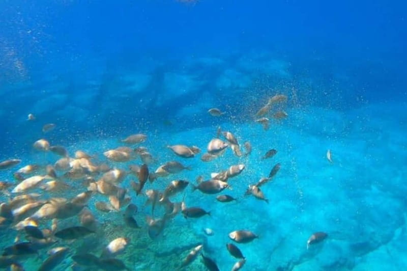 Lindos: Submarine Cruise with Swimming Stop at Navarone Bay - Lindos submarine cruise: why the sea-level views feel special