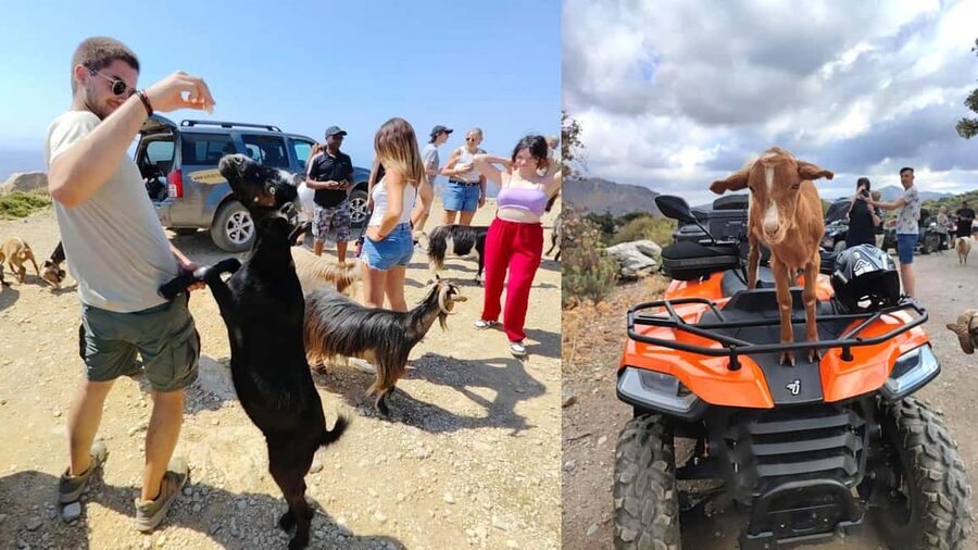 Malia: Off-Road Quad Safari Tour with Lunch and Transfers - Key points to know before you go