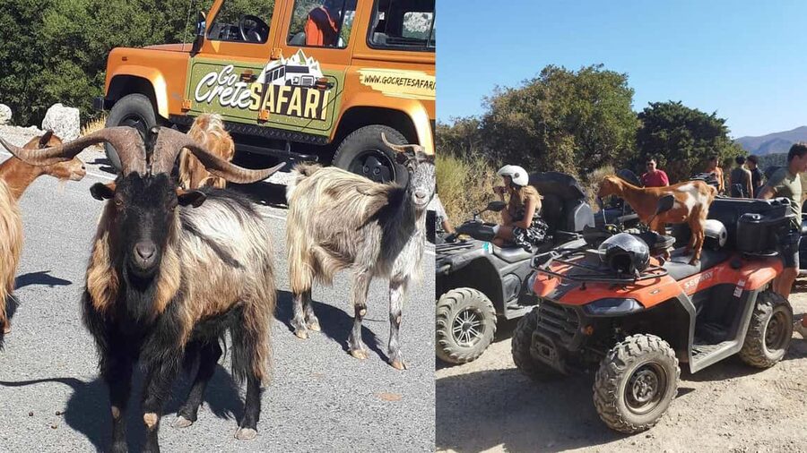 Malia: Off-Road Quad Safari Tour with Lunch and Transfers - Olive groves to vineyards: your first dirt-road climb