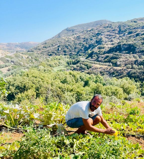 Melanes: Naxos Perivoli Farm & Cooking Class with Wood Fire - Potatoes, why Naxos matters, and seasonal fruit tasting