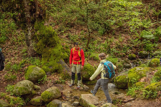 Meteora Small Group Hiking tour with Transfer and Monastery Visit - Price and value: what $36.28 really buys you