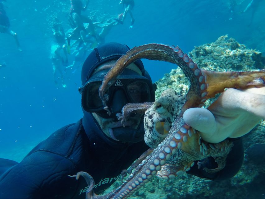 Milos: Half-Day Speedboat Cruise to Klefiko with Snorkeling - A 49-Foot Speedboat Means You Beat the Boats to Kleftiko