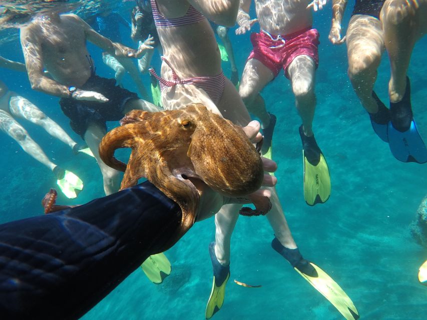 Milos: Half-Day Speedboat Cruise to Klefiko with Snorkeling - Snack Breaks, Beer, and Small Comforts on the Water