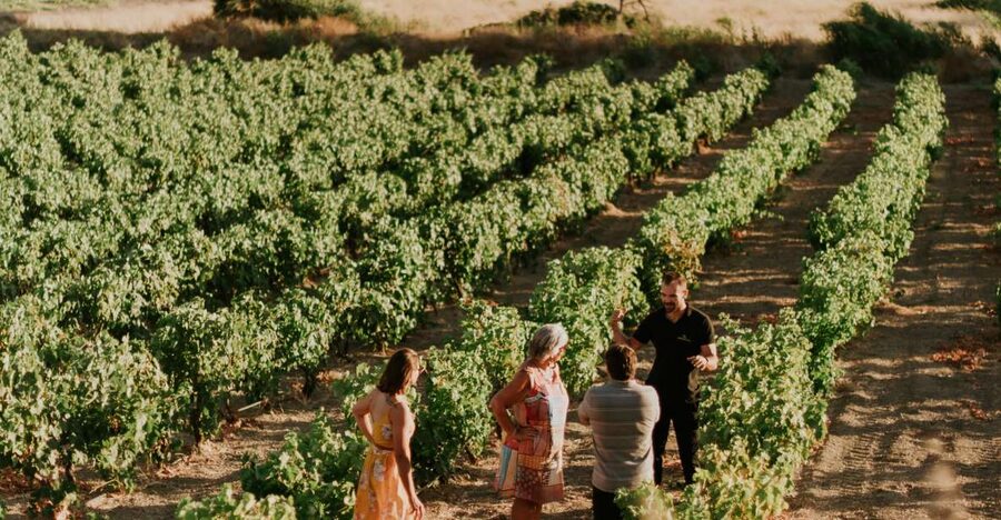 Milos Island: Kostantakis Winery Wine Tasting Experience - Cave Winery Time: Cool Air, Big Atmosphere