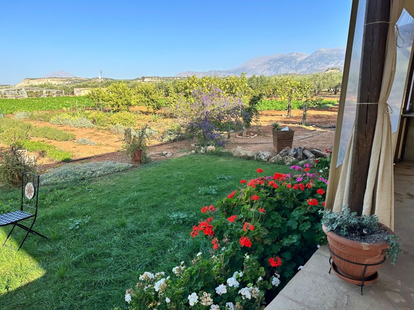 Moires: Cooking Class and Olive Oil Tasting at a Family Farm - The outdoor kitchen setup, comfort and pacing in Crete heat