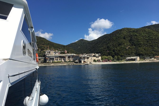 Mount Athos & visit Ammouliani's island (mixed cruise) - When dolphins show up, the cruise feels like a bonus movie scene