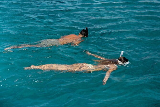 Mykonos: Brand-New Catamaran Cruise with Meal, Drinks & Transport - Gear and Swim Planning: What You Get, What You Bring