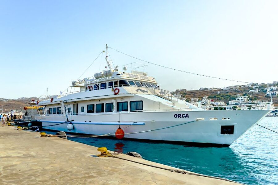 Mykonos: Delos Boat Transfer with Cell Phone Audioguide - The mobile phone audioguide: languages, download time, and real-world glitches