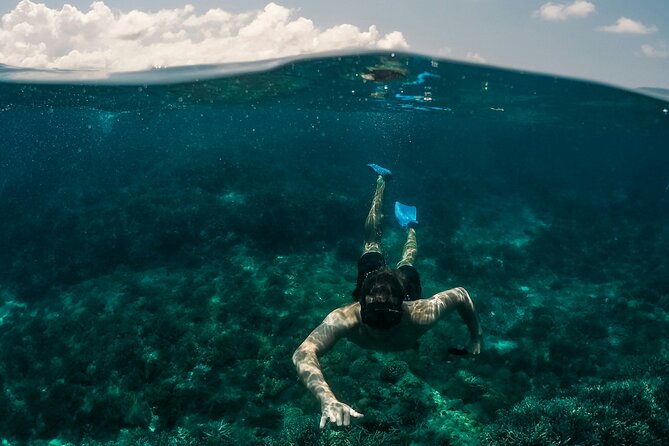 Mykonos Delos Rhenia Daily Cruise with BBQ, Drinks & Transfer - Rhenia Island (Rineia): Beach Anchoring, Snorkel Gear, and Real Down Time