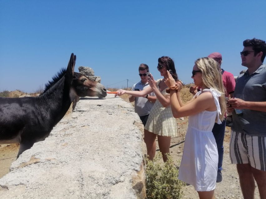 Mykonos: Highlights Tour with Panagia Tourliani Monastery - Key takeaways before you go