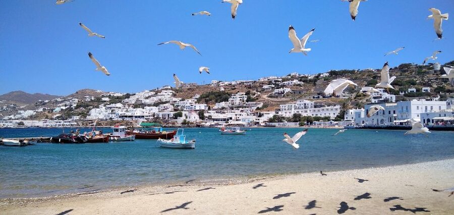Mykonos: Highlights Tour with Panagia Tourliani Monastery - Group size, guides, and why the tour feels personal