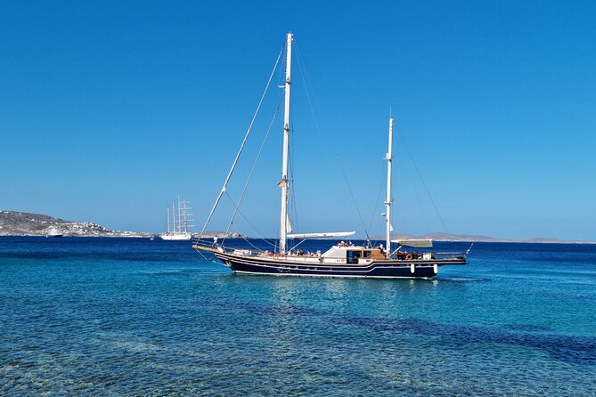Mykonos Sail Cruise to Rhenia, Guided Tour of Delos, Lunch&Drinks - Who should book this sail to Rhenia and Delos