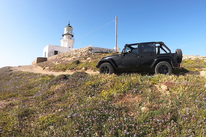Mykonos Wild Experience Tour - Ftelia Beach: prehistoric clues and one of the island’s highest viewpoints
