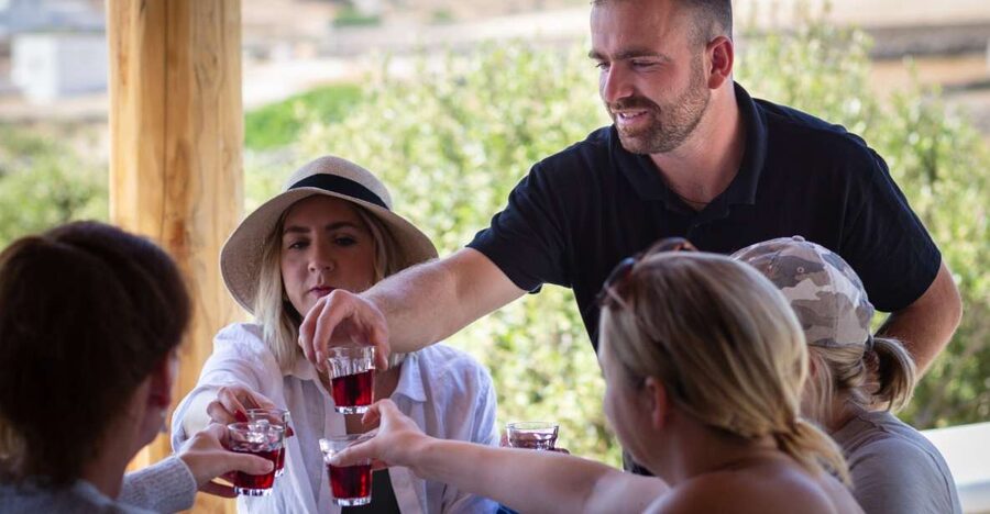 Mykonos: Winery Vineyard Experience with Food & Wine Tasting - Gerasimos Leads You Through Olive Groves and Vine Rows