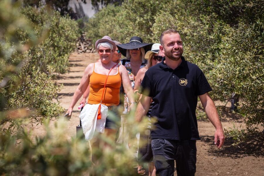 Mykonos: Winery Vineyard Experience with Food & Wine Tasting - Mykonos Value Check: Is $80 a Good Deal for 2 Hours?