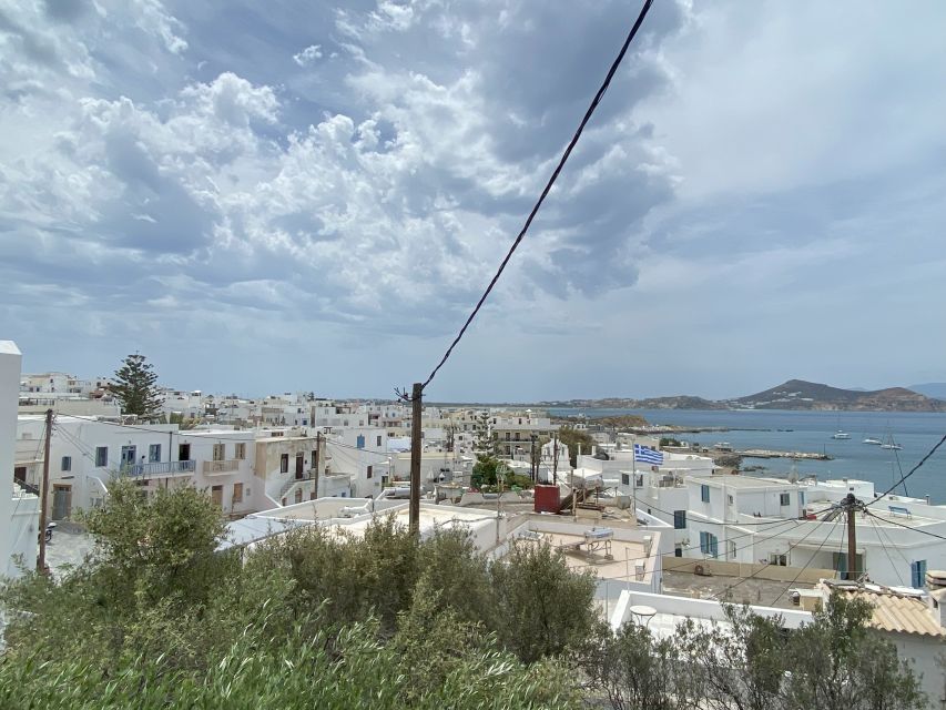 Naxos: Food Walking Tour & Cooking Class with Meal & Drinks - Key highlights you will actually feel