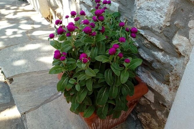 Naxos: Highlights of Naxos Day Tour - Smart planning tips before you go