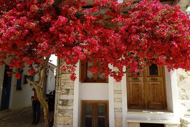 Naxos: Highlights of Naxos Day Tour - FAQ
