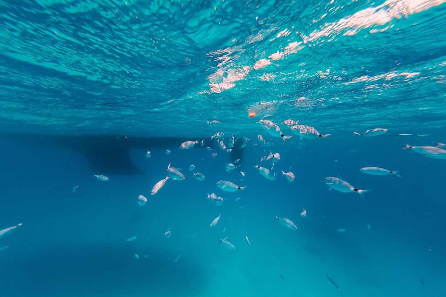 Naxos: Sailing Cruise with Lunch & Drinks - Snorkeling stops and why weather changes the whole plan