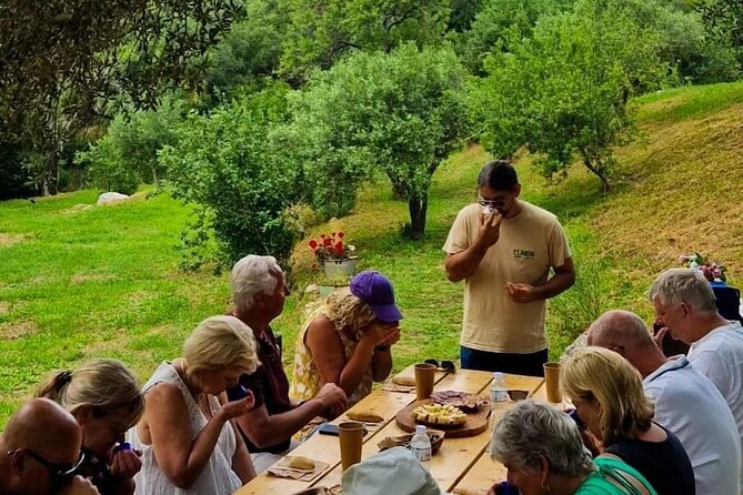 North Corfu Olive Tour With Olive oil Tasting & Meze - Price and Value: What You Get for $74.98