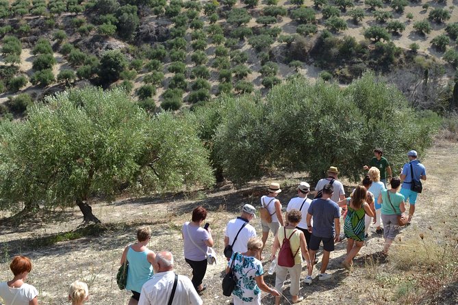 Olive Oil Tasting Tour - Price and value: what $19.36 gets you in the real world