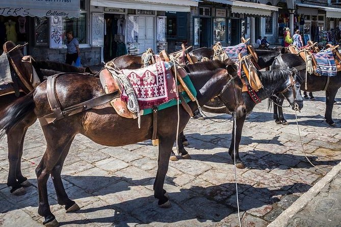 One Day Cruise to Hydra, Poros and Aegina from Athens - Boarding at Piraeus: What Your Morning Actually Looks Like