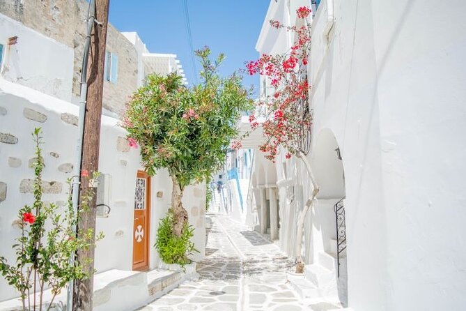 Paros & Antiparos Full-Day Discovery Guided Tour in English - Naoussa Old Port Finish: Fishing Harbor Energy Without the Hard Sell