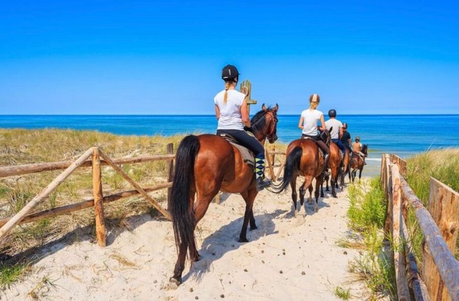 Paros: Morning Island Horseback Riding Adventure - Key takeaways before you ride