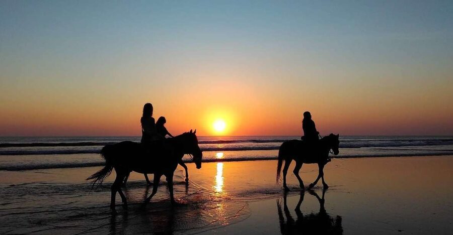 Paros: Morning Island Horseback Riding Adventure - Why the 9:00 a.m. Paroikia ride feels smarter than later plans