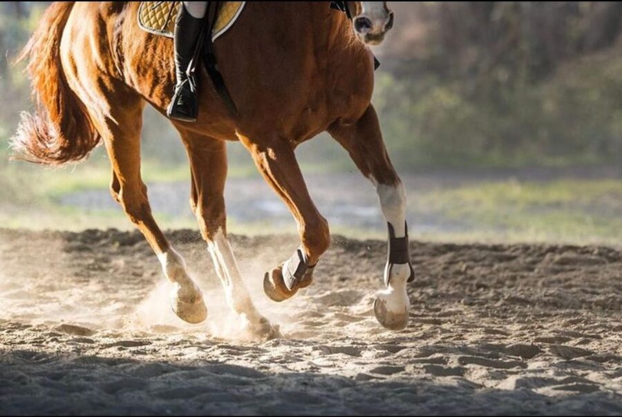Paros: Morning Island Horseback Riding Adventure - The instruction is the real deal for first-time riders