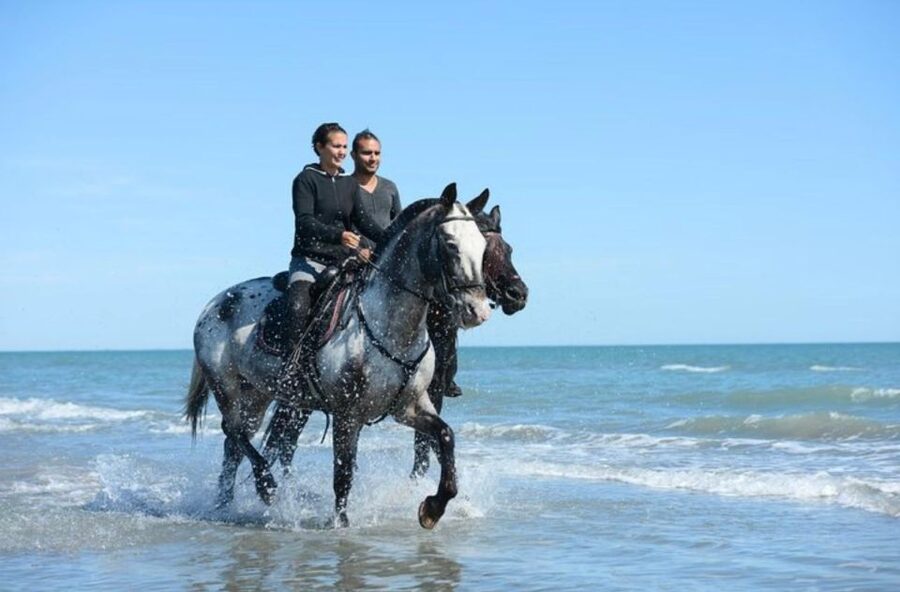 Paros: Morning Island Horseback Riding Adventure - Price and value: is $102 per person worth it?