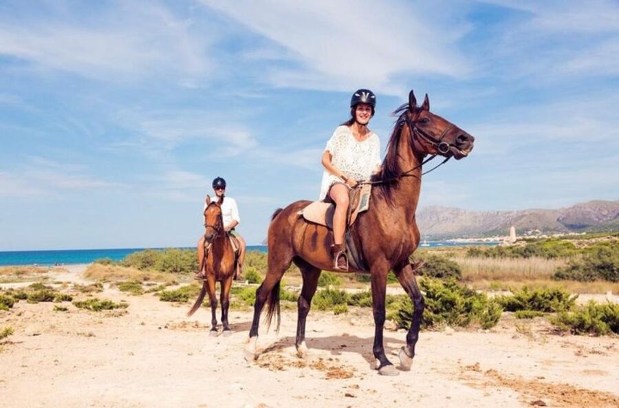Paros: Morning Island Horseback Riding Adventure - Who should book, and who should skip this horse ride