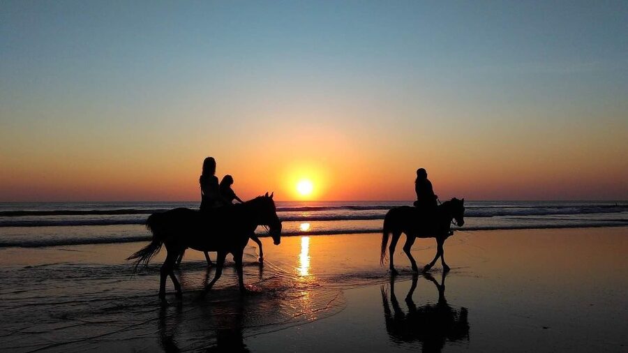 Paros: Morning Island Horseback Riding Adventure - Weather, pacing, and what “one hour” really means