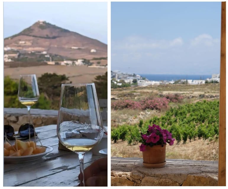 Paros: Wine tasting at Local Winery - Sea-view atmosphere and why the pacing feels right
