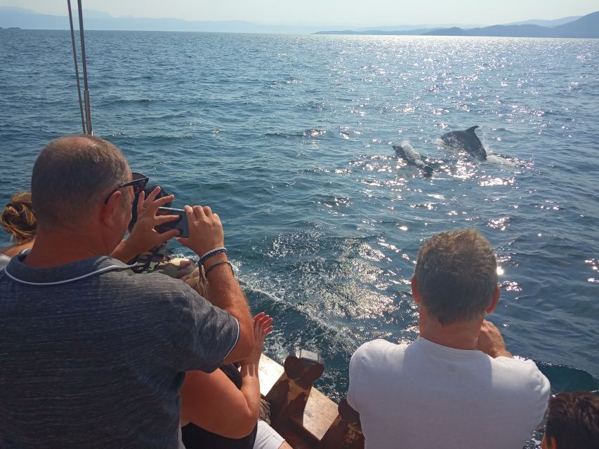 Preveza: Dolphin Watching Cruise with Lunch and Drinks - Guides and captains: why the human touch matters