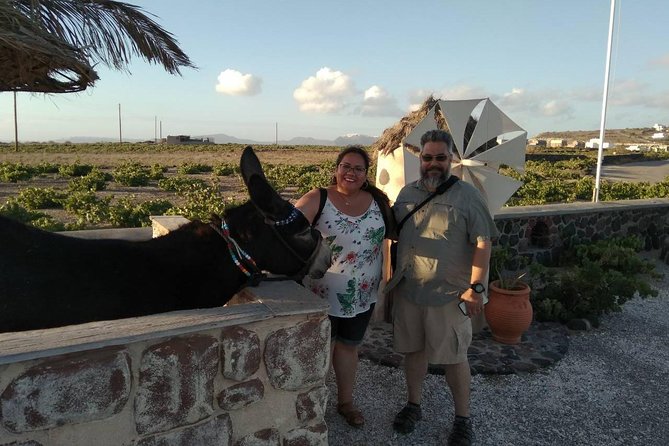 Private Cultural Villages Sightseeing & Akrotiri Excavations - Cruise Ship and Airport Realities You Should Know