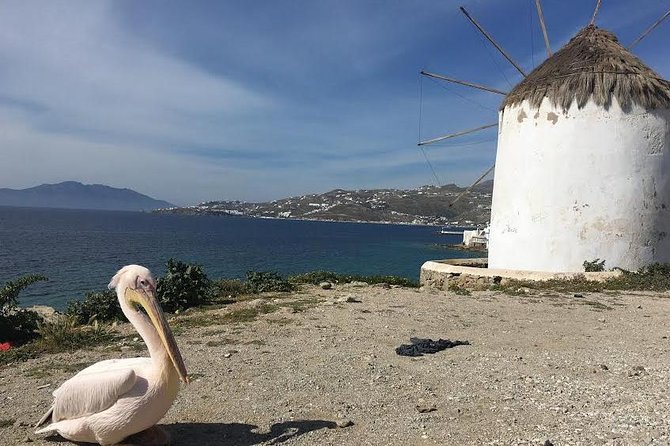 Private Tour: Mykonos Island in Half a Day - Armenistis Lighthouse and Paraportiani: views plus a real sense of place