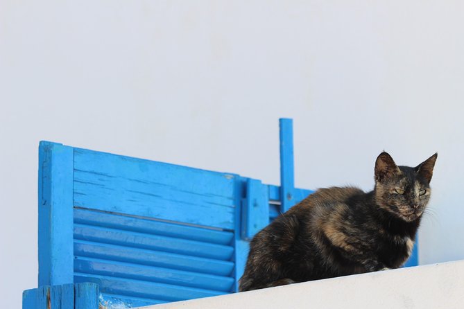 Private Tour: Mykonos Island in Half a Day - Beaches near town, then Kalo Livadi: mixing quick water time with color